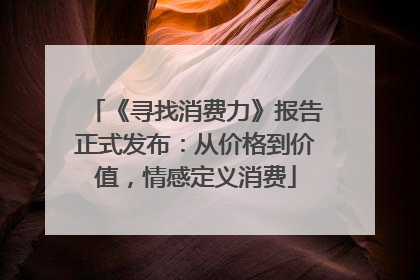 《寻找消费力》报告正式发布：从价格到价值，情感定义消费