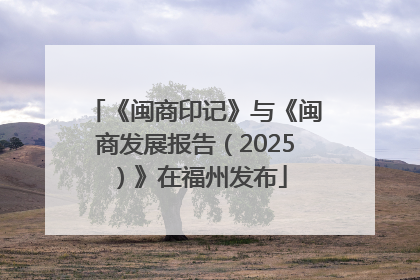 《闽商印记》与《闽商发展报告（2025）》在福州发布