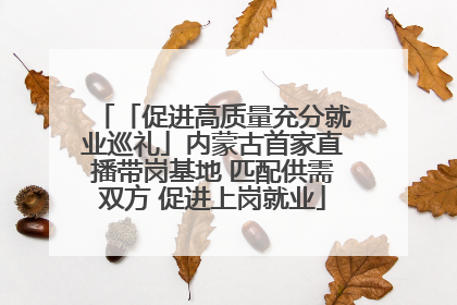 「促进高质量充分就业巡礼」内蒙古首家直播带岗基地 匹配供需双方 促进上岗就业