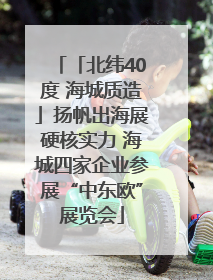 「北纬40度 海城质造」扬帆出海展硬核实力 海城四家企业参展“中东欧”展览会
