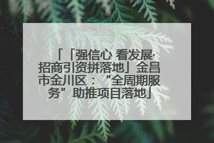 「强信心 看发展·招商引资拼落地」金昌市金川区：“全周期服务”助推项目落地