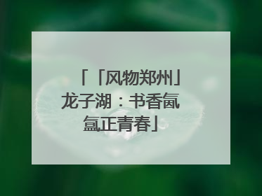 「风物郑州」龙子湖：书香氤氲正青春