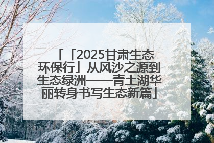 「2025甘肃生态环保行」从风沙之源到生态绿洲——青土湖华丽转身书写生态新篇
