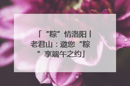 “粽”情洛阳丨老君山：邀您“粽”享端午之约