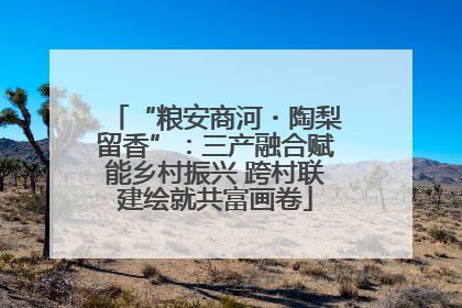 “粮安商河・陶梨留香”：三产融合赋能乡村振兴 跨村联建绘就共富画卷