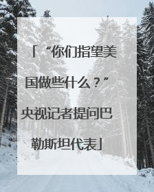 “你们指望美国做些什么？”央视记者提问巴勒斯坦代表