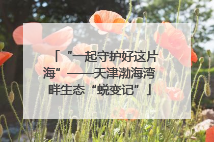 “一起守护好这片海”——天津渤海湾畔生态“蜕变记”