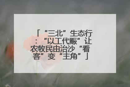 “三北”生态行：“以工代赈”让农牧民由治沙“看客”变“主角”