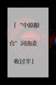 “中原粮仓”河南麦收过半