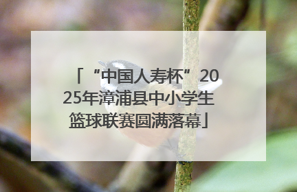 “中国人寿杯”2025年漳浦县中小学生篮球联赛圆满落幕