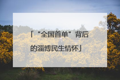 “全国首单”背后的淄博民生情怀