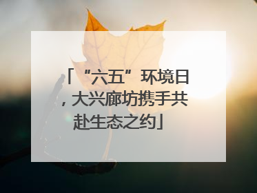 “六五”环境日，大兴廊坊携手共赴生态之约
