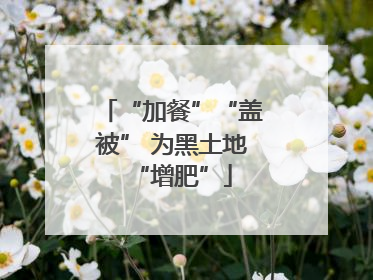 “加餐”“盖被” 为黑土地“增肥”