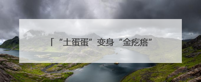 “土蛋蛋”变身“金疙瘩”：孙伯镇西程村土豆丰收记