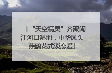 “天空精灵”齐聚闽江河口湿地，中华凤头燕鸥花式谈恋爱