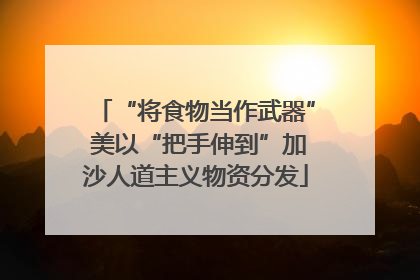 “将食物当作武器” 美以“把手伸到”加沙人道主义物资分发