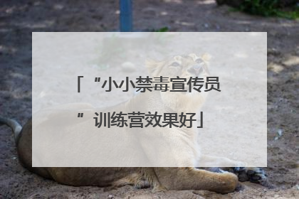 “小小禁毒宣传员”训练营效果好