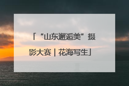 “山东邂逅美”摄影大赛｜花海写生