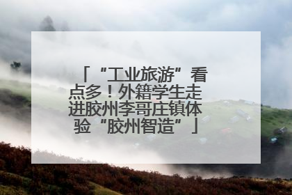 “工业旅游”看点多！外籍学生走进胶州李哥庄镇体验“胶州智造”