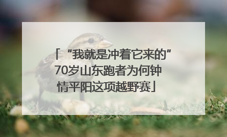 “我就是冲着它来的” 70岁山东跑者为何钟情平阳这项越野赛