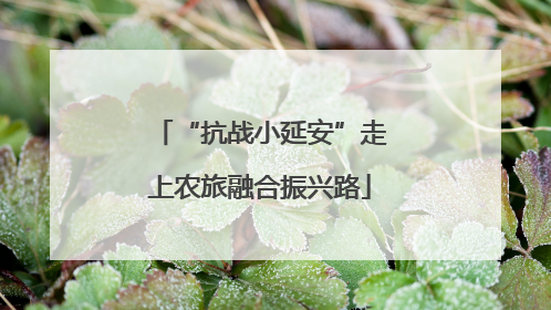 “抗战小延安”走上农旅融合振兴路