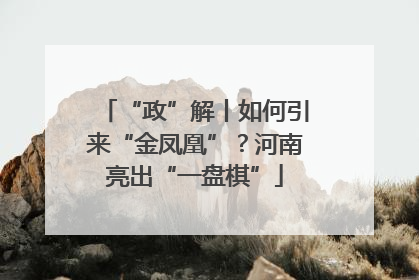 “政”解丨如何引来“金凤凰”？河南亮出“一盘棋”