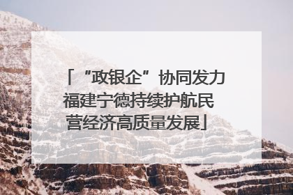 “政银企”协同发力 福建宁德持续护航民营经济高质量发展