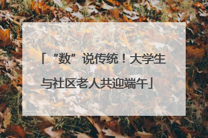 “数”说传统！大学生与社区老人共迎端午