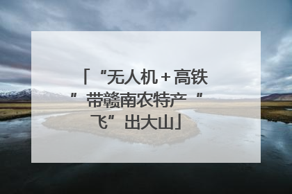 “无人机＋高铁”带赣南农特产“飞”出大山
