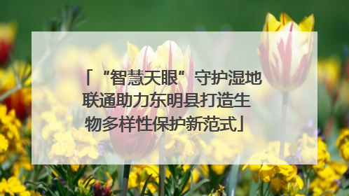 “智慧天眼”守护湿地 联通助力东明县打造生物多样性保护新范式
