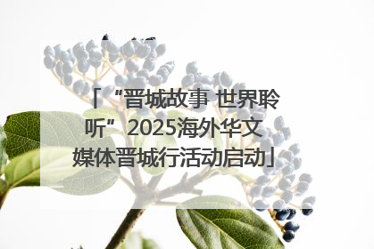 “晋城故事 世界聆听”2025海外华文媒体晋城行活动启动