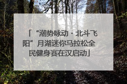 “潮势咏动・北斗飞阳”月湖迷你马拉松全民健身赛在汉启动