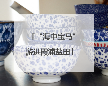 “海中宝马”游进霞浦盐田