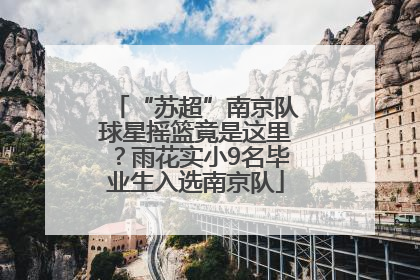 “苏超”南京队球星摇篮竟是这里？雨花实小9名毕业生入选南京队