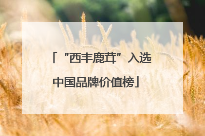 “西丰鹿茸”入选中国品牌价值榜