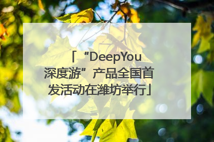 “DeepYou深度游”产品全国首发活动在潍坊举行
