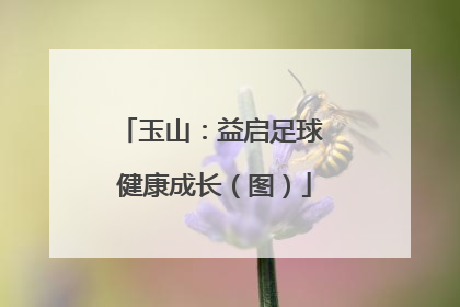 玉山：益启足球 健康成长（图）
