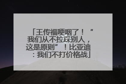 王传福哽咽了！“我们从不拉踩别人，这是原则”！比亚迪：我们不打价格战