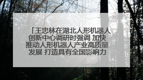 王忠林在湖北人形机器人创新中心调研时强调 加快推动人形机器人产业高质量发展 打造具有全国影响力的研发创新基地