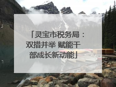 灵宝市税务局：双措并举 赋能干部成长新动能