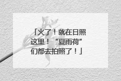 火了！就在日照这里！“夏雨荷”们都去拍照了！