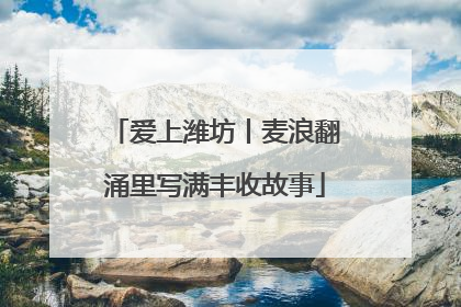 爱上潍坊丨麦浪翻涌里写满丰收故事