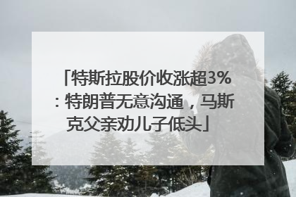 特斯拉股价收涨超3%：特朗普无意沟通，马斯克父亲劝儿子低头
