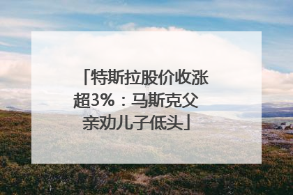 特斯拉股价收涨超3%：马斯克父亲劝儿子低头