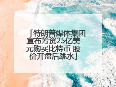 特朗普媒体集团宣布筹资25亿美元购买比特币 股价开盘后跳水