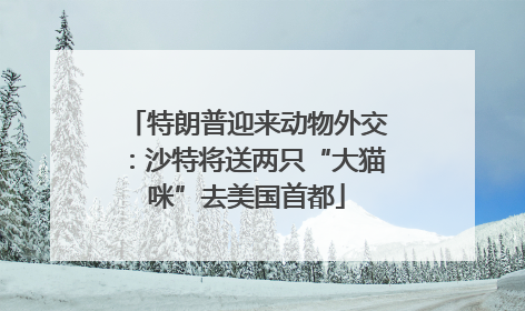 特朗普迎来动物外交：沙特将送两只“大猫咪”去美国首都