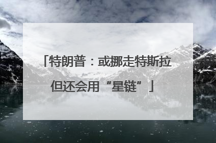 特朗普：或挪走特斯拉 但还会用“星链”