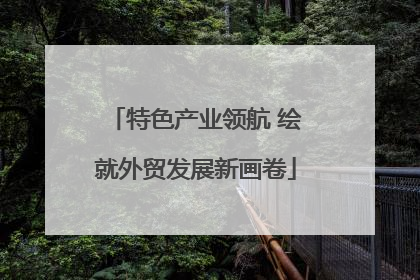 特色产业领航 绘就外贸发展新画卷