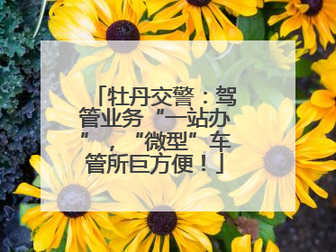 牡丹交警：驾管业务“一站办”，“微型”车管所巨方便！