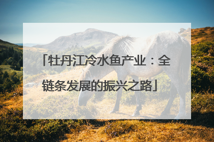 牡丹江冷水鱼产业：全链条发展的振兴之路